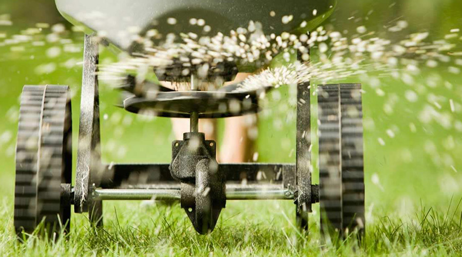 seeder spreading seeds in grass syracuse ny