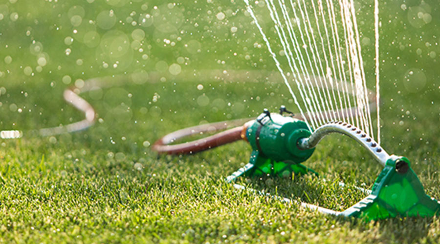 sprinkler watering grass syracuse ny