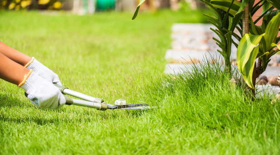 lawn care syracuse ny