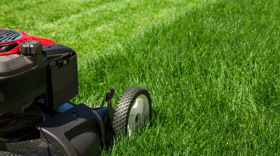mowing services skaneateles ny