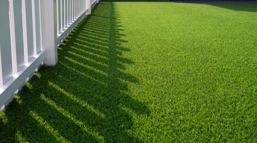 green lawn yard